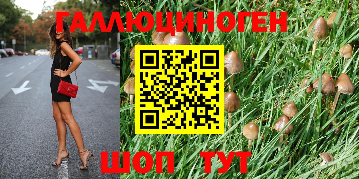 где продают наркотики  Вход с VPN  Алатырь  Псилоцибиновые грибы MAGIC MUSHROOMS 